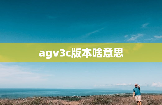agv3c版本啥意思