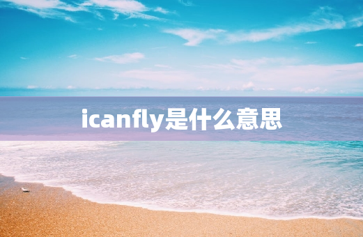 icanfly是什么意思